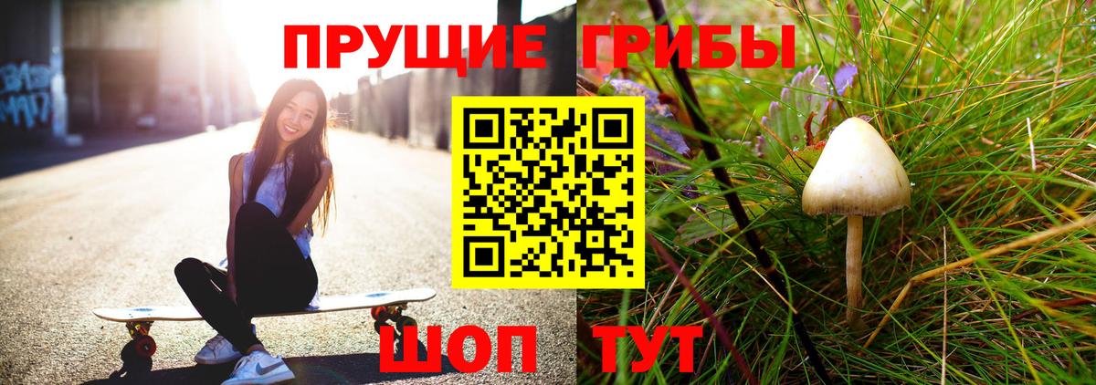 Галлюциногенные грибы Psilocybine cubensis Новокубанск