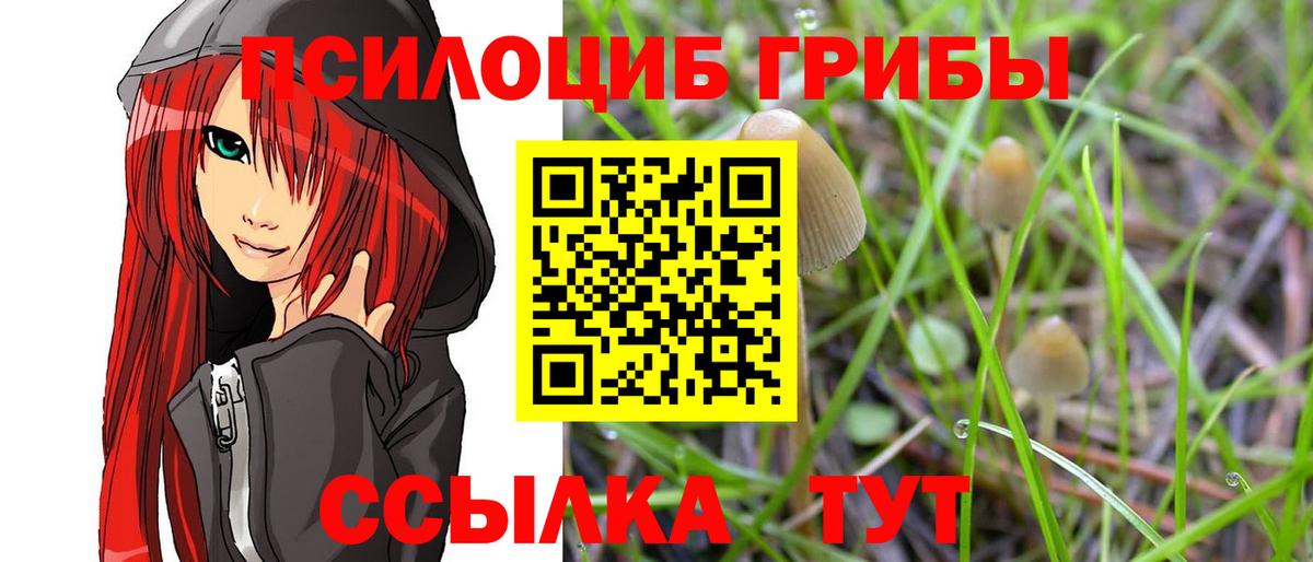 Новокубанск  Галлюциногенные грибы Psilocybe  Галлюциногенные грибы Cubensis  Вход с VPN 